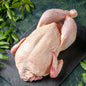 CHICKEN WHOLE